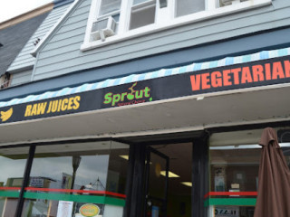 Sprout Vegan 2.0