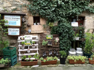 El Cielo De Zacarías