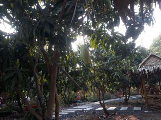 สวนลุงกบ Cafe