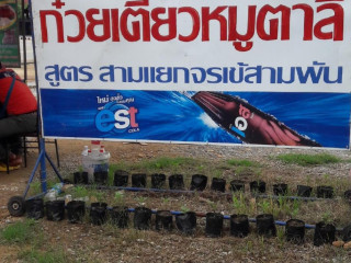 ก๋วยตี๋ยวหมูตาลี