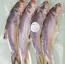 กินได้ กินดี