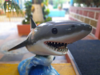 El Tiburón De La Costa, México