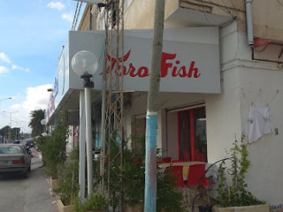 Toro Fish