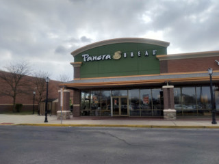 Panera Bread