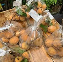 กะเพราบ้านสวนบางใหญ่สาขา 1