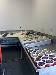 Ocean Seafood Fischhandel