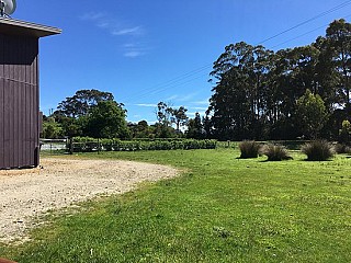 Bruny Island Berry Farm