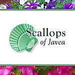 Scallops Of Javea