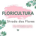 Floricultura Strada Das Flores