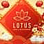 Lotus Coffee