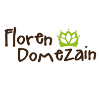 Floren Domezain