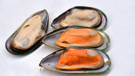 C7. Green Mussels