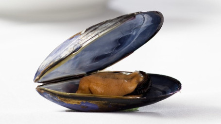 C8. Black Mussels (1/2 Lb.