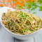 Egg Chicken Chow Mein [Gravy]