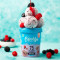 Helado de Bayas Soho 450 ML