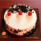 Black Forest Classic Classic Cake