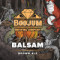 Balsam Brown Ale