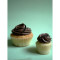 Vanilla With Milk Chocolate Ganache Cupcake