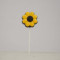 Sunflower Lollipop