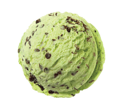 Mint Chocolate Chip Indulge (500 Ml)