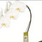 5 Debi Lilly Grande White Orchid In Ceramic Pot