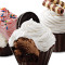 Variedad De Cupcakes De Helado Paquete De 6 Listo Ahora