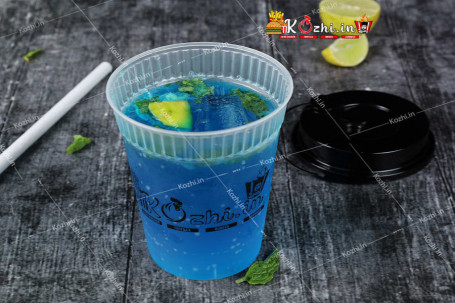 Blue Berry Mojito 300Ml