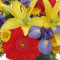 Colors On Parade Flower Arrangement