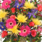Colorful Condolences Tribute Funeral Flowers