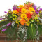 Radiant Medley Casket Spray Funeral Flowers