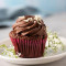 Eggless Chocolate Cupcake [1 Piece]