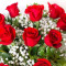 Dozen Red Rose Arrangement Premium Vase