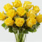 Dozen Yellow Rose Arrangement