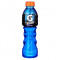 Gatorade Uva Feroz