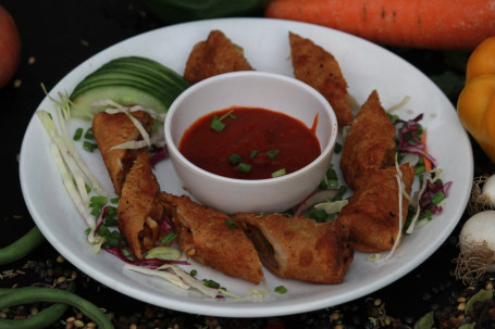 Veg Oriental Spring Rolls