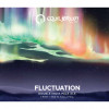 Fluctuation