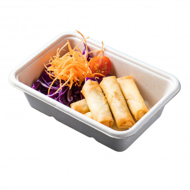 Vege Spring Roll V