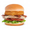 Bbq Turkey Bacon Burger Combo