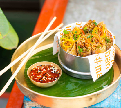 Charred Vegetable Spring Rolls