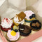6 Assorted Cupcake Box