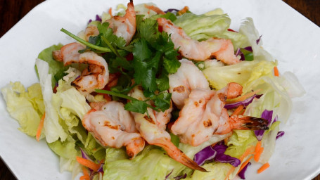 20B. Rincome Shrimp Salad