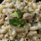 Macaroni In White Sauce Pasta