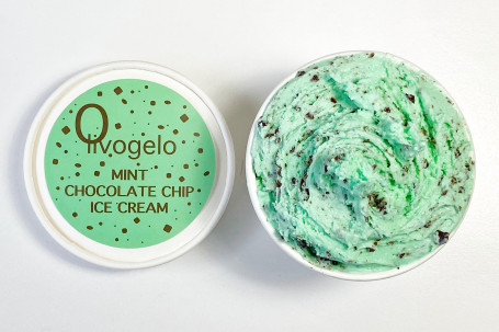 Mint Chocolate Chip Ice Cream Tub (Small