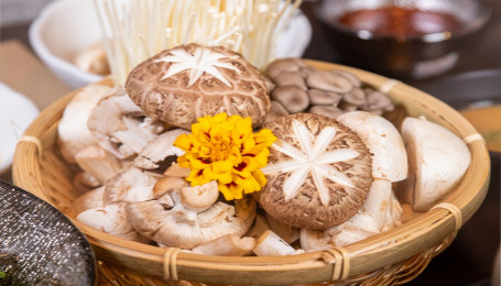 Mushroom Plate