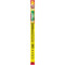 Slim Jim Tabasco Gigante .97Oz