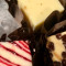 Cheese Cake(3 Flavors Mix)