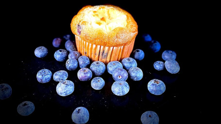 Blueberry Cream Cheese Muffin