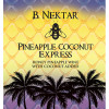 Pineapple Coconut Express