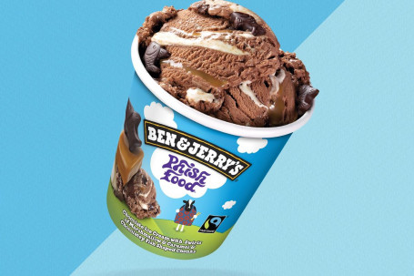 Ben Jerry Rsquo;S Phish Food Pint