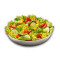 Salat Básico (Vegetariano)